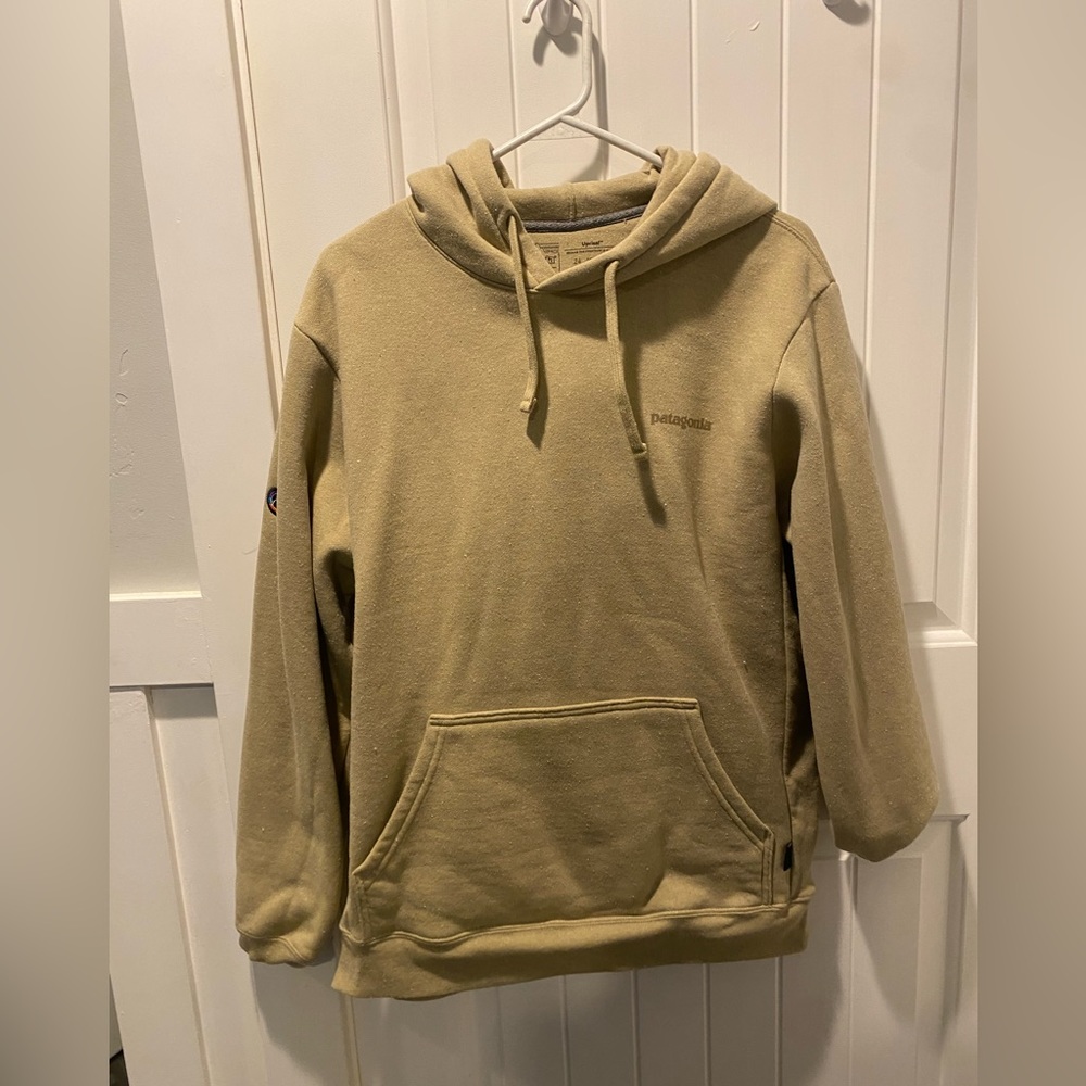 Patagonia hoodie men’s M